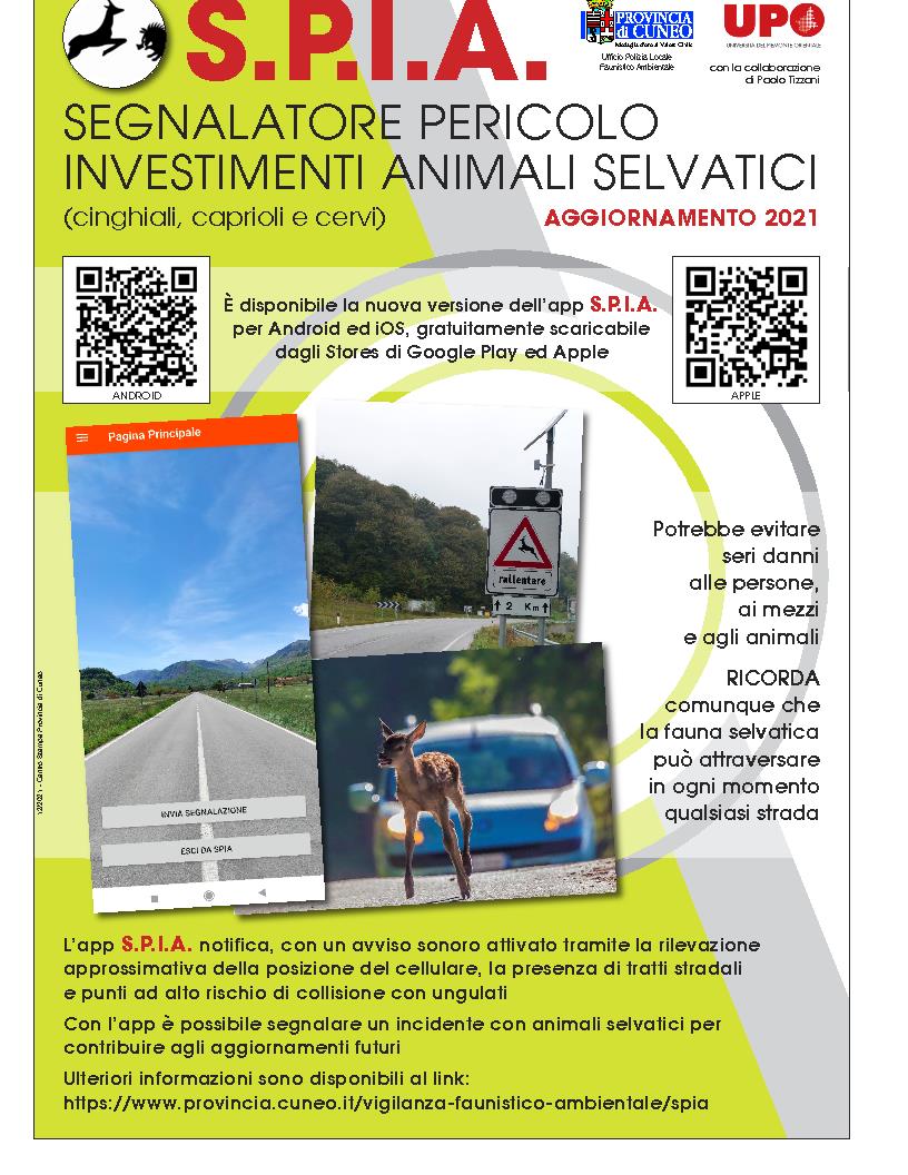 spia