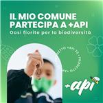 +api